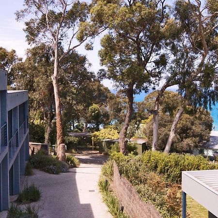 Lorne Surf Apartments Kültér fotó
