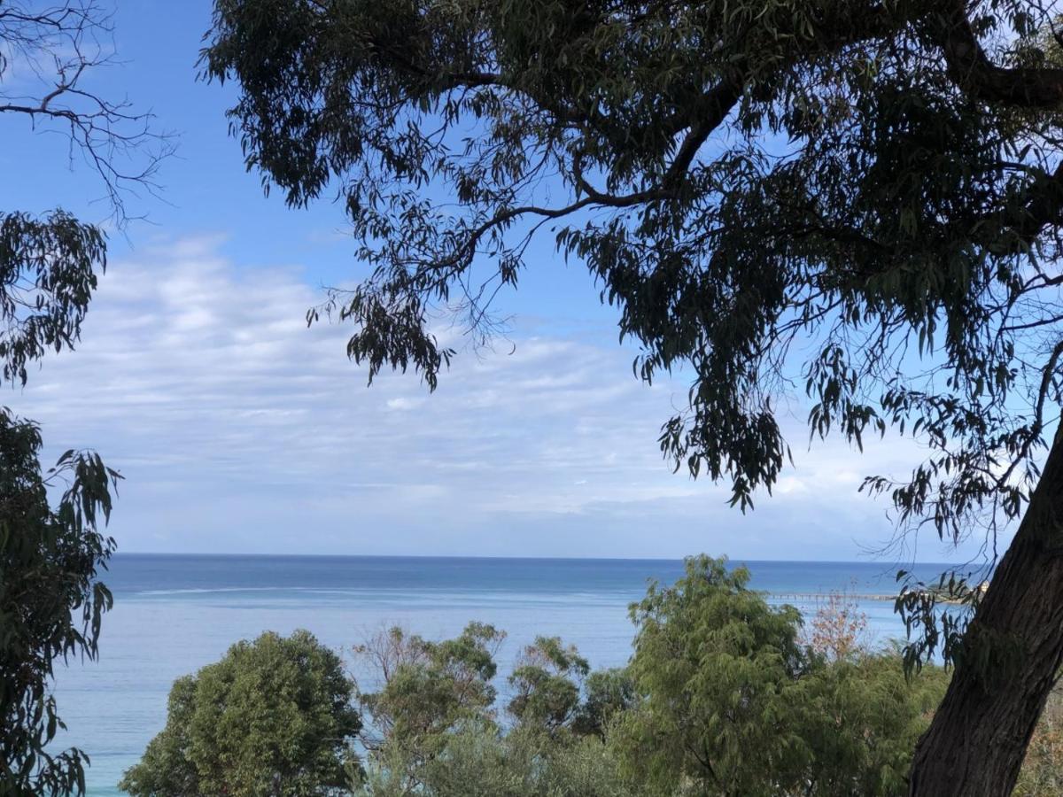 Lorne Surf Apartments Kültér fotó