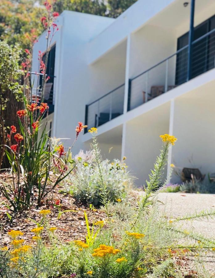 Lorne Surf Apartments Kültér fotó