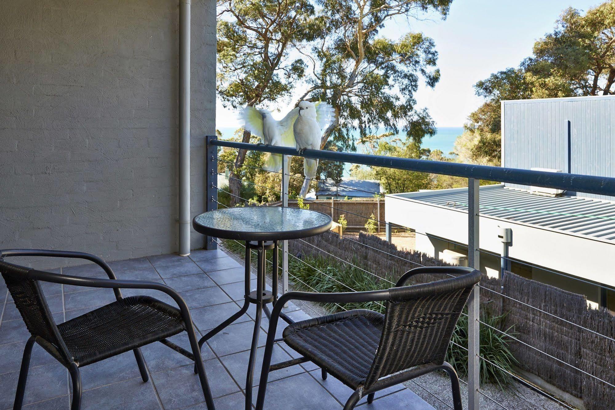 Lorne Surf Apartments Kültér fotó